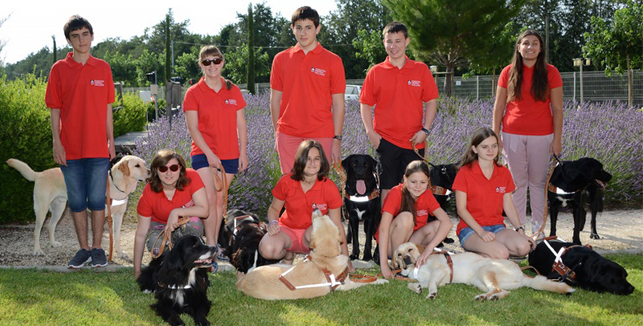 Dynamic Content Image