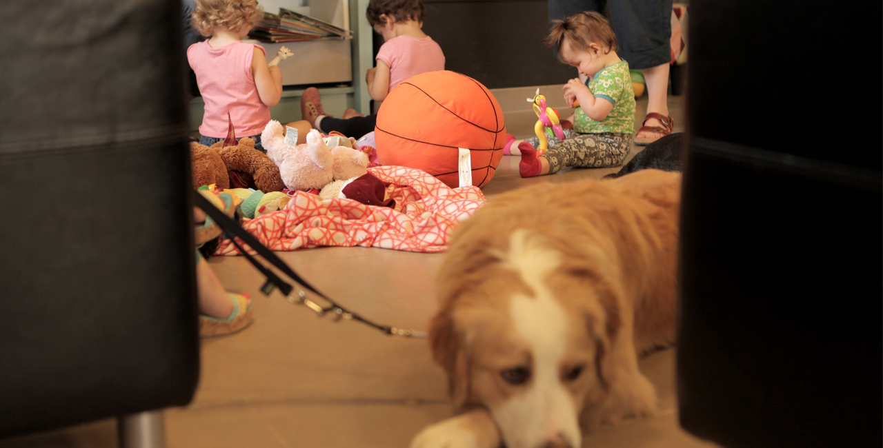 Dynamic Content Image